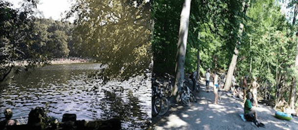 Ein Teil der Bevölkerung lehnt Hunde am Schlachtensee und der Krummen Lanke ab. (Foto: BI Bello ade in Park und See)