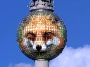 Der Fuchs erobert Berlin. (Screenshot: rbb)