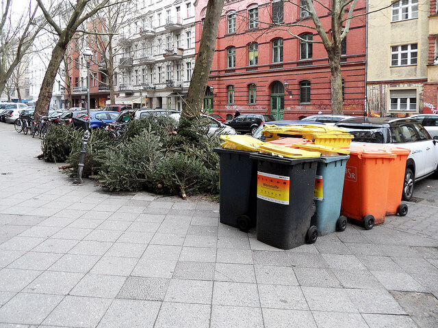 Die Weihnachtsbäume haben ausgedient. Foto: onnola