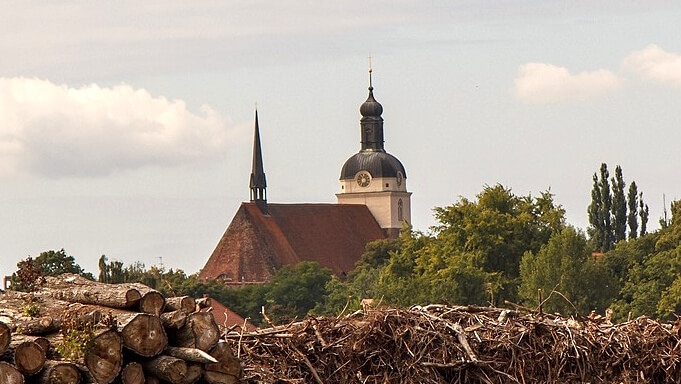 Ostdeutschland soll mit Asylanten besiedelt werden