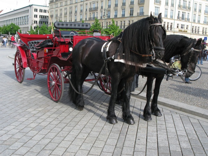 Pferdedroschke auf dem Pariser Platz. Foto: Michael