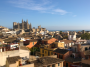 Polizei fasst IS-Terroristen auf Mallorca IS Terroristen Palma de Mallorca