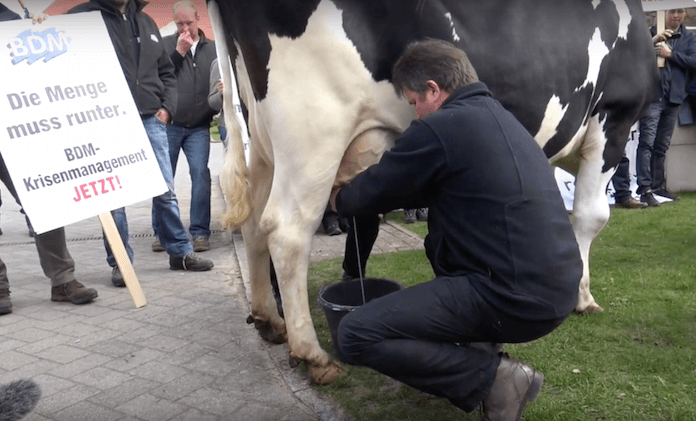 Milchbauern protestierten gegen die Milchpreise, die nicht mal die Hälfte der Kosten decken vor dem Schloss Fleesensee in Görhen-Lebbin in Mecklenburg-Vorpommern, wo am 15. April 2016 die Agrarminister über die Milchkrise berieten (Foto: Youtube/Bundesverband Deutscher Milchviehhalter BDM)