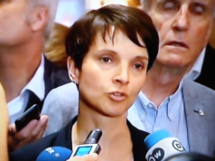 frauke petry afd zentralrat der muslime zdm Aiman Mazyek