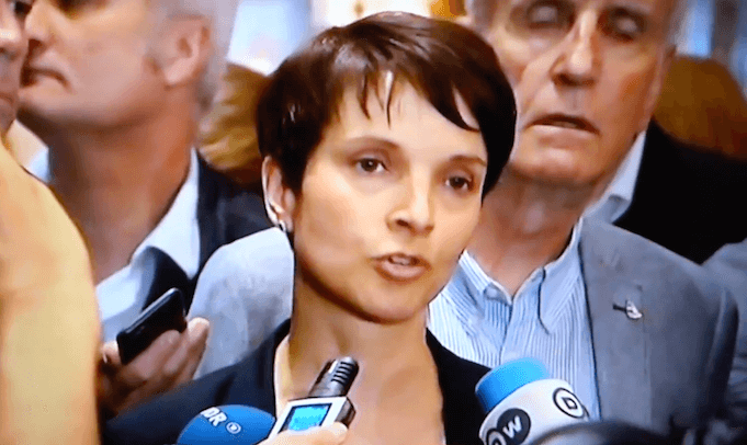 frauke petry afd zentralrat der muslime zdm Aiman Mazyek