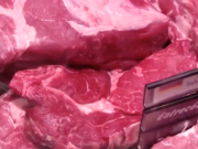 Grüne wollen billiges Fleisch verbieten Grüne wollen billiges Fleisch verbieten