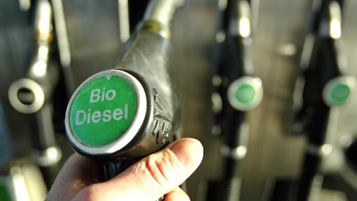 Seit 2007 wird dem Diesel sieben Prozent Pflanzenöl beigemischt, die EU hat gerade beschlossen, die Beimischung auf 20 Prozent zu erhöhen - das mache den Diesel aber weder gesund noch ökologisch, fanden Florian Schneider und Ines Rainer vom WDR heraus (Foto: die story/WDR)