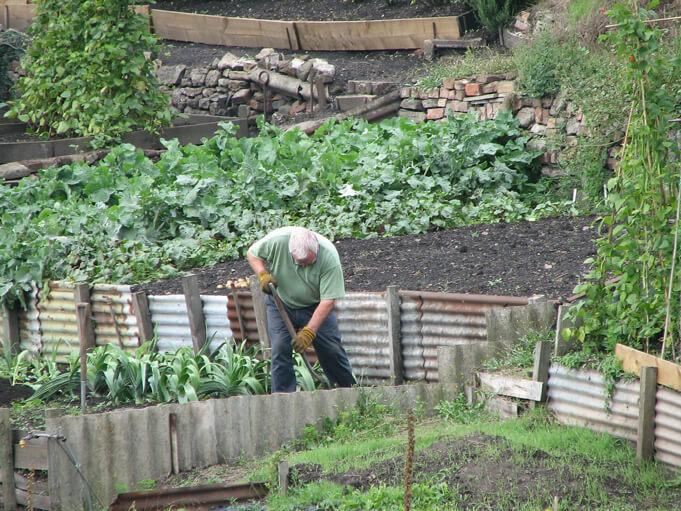 Gardener