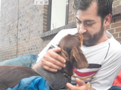 Warum werden Flüchtlinge in Berlin besser behandelt als Obdachlose, fragt der syrische Flüchtling und Autor Bilal Al Dumani (50). Nicht mal Hunde müssen nach seinen Beobachtungen in Berlin auf der Straße schlafen (Foto: Bilal Al Dumani)