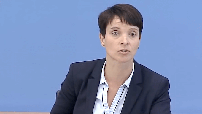 Frauke Petry AfD Rentenversicherung Selbstständige