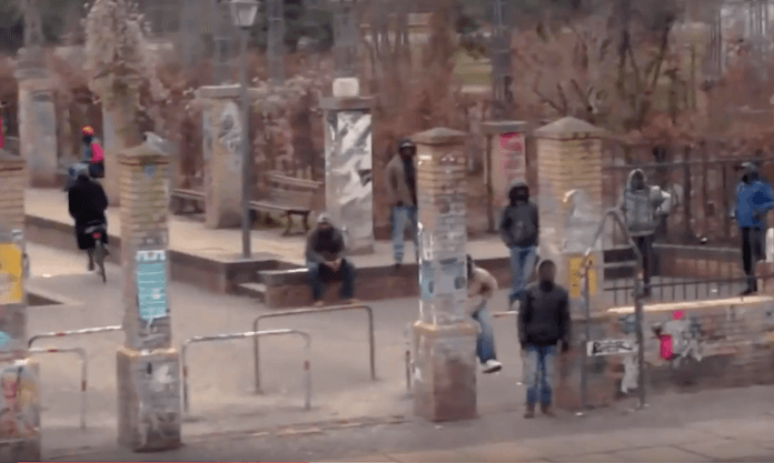 Tatort Görlitzer Park in Berlin-Kreuzberg: Hier trat Abdul A. (34) auch vor den Augen seiner drei kleinen Kinder seiner von ihm getrennt lebenden Frau (25) so stark mit dem Fuß ins Gesicht, dass sie schwer verletzt in eine Klinik eingeliefert werden musste (Foto: Youtube/Spiegel TV)