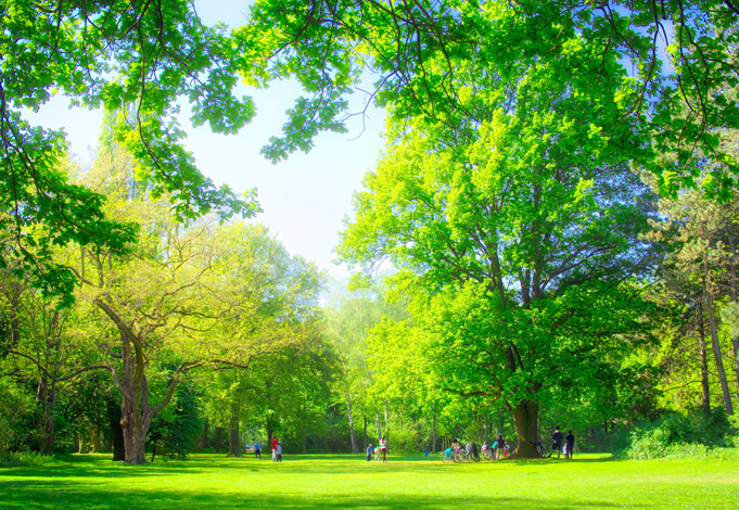 tiergarten-berlin