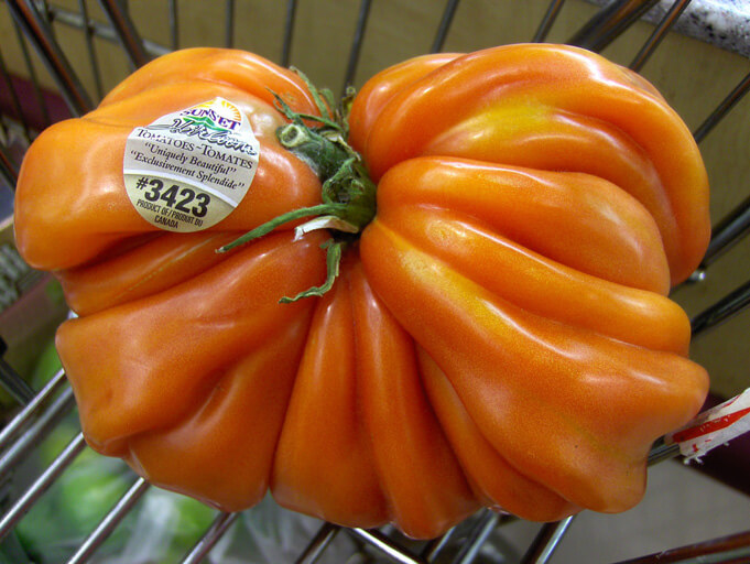 "Ugly" tomato. Source.
