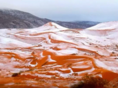 Afrika: Zum ersten mal Schnee in der Sahara seit 37 Jahren (Foto: Mary Greeley)