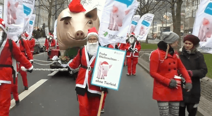 Weihnachtsmänner Riesenschwein