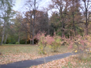 Historischer Park Leonorenstraße Lankwitz