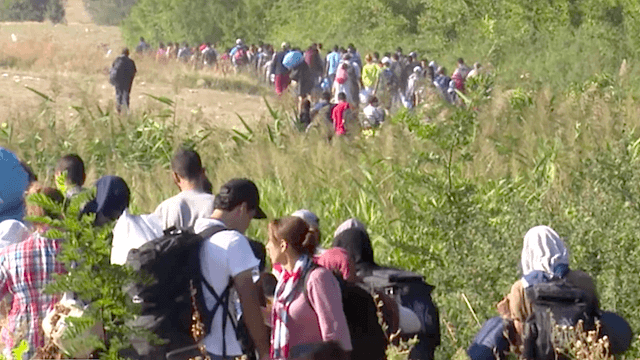 Laut Alexander Graf Lambsdorff zeigt das EuGH-Urteil einen Rechtsbruch der Bundesregierung in der Flüchtlingskrise. (Screenshot: YouTube)