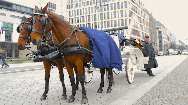 Aufgrund einer Petition steht Berlin kurz vor einem Verbot von Pferdekutschen.
