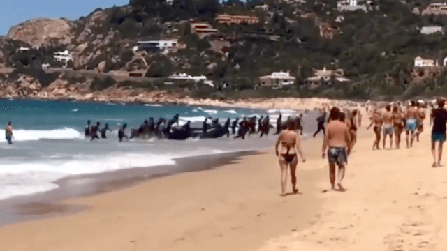 Illegale Migranten stürmen einen Badestrand in Südspanien. (Screenshot: YouTube)