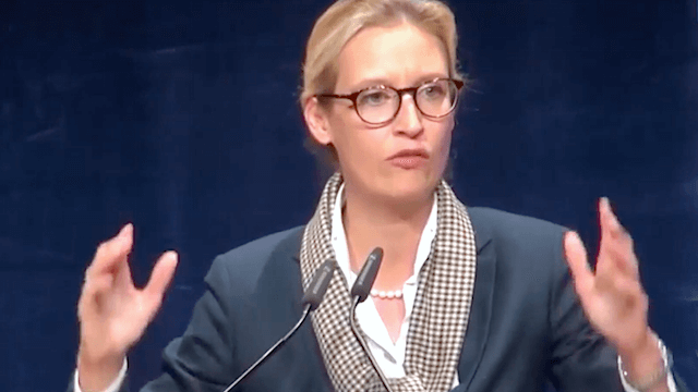 Laut der neuesten Fake News gegen Alice Weidel soll sie eine Asylbewerberin schwarz angestellt haben. (Screenshot: YouTube)