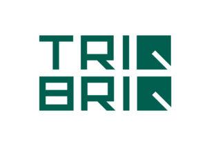 TRIQBRIQ - eine zukunftsweisende Technologie setzt neue Maßstäbe in der Baubranche