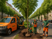 Klimaanpassungsgesetz Berlin